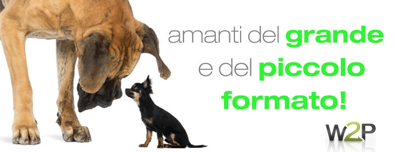 Css Template Preview